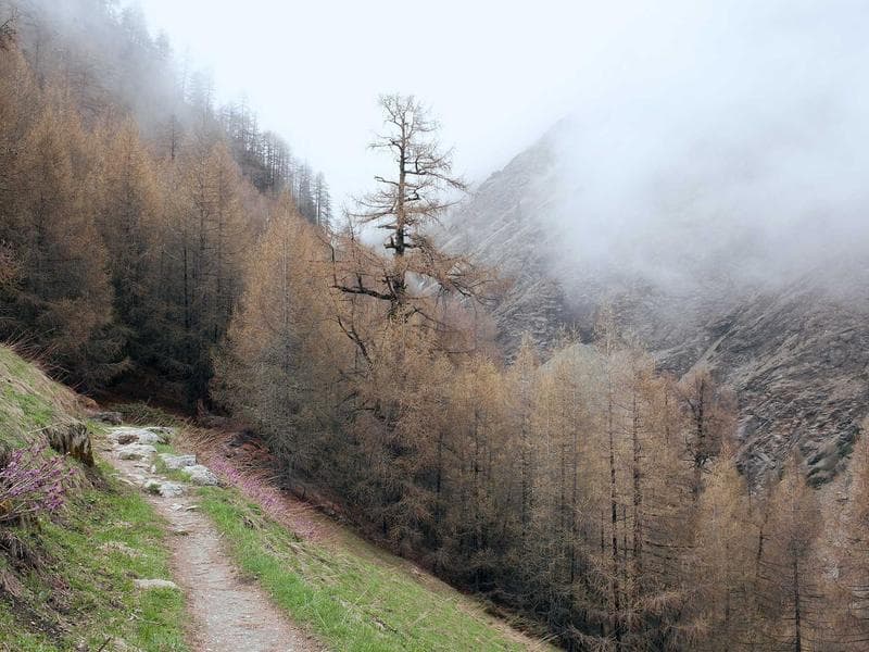 Damperli Kamyon — Moloz Nakliyesi